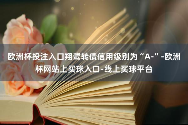 欧洲杯投注入口翔鹭转债信用级别为“A-”-欧洲杯网站上买球入口-线上买球平台