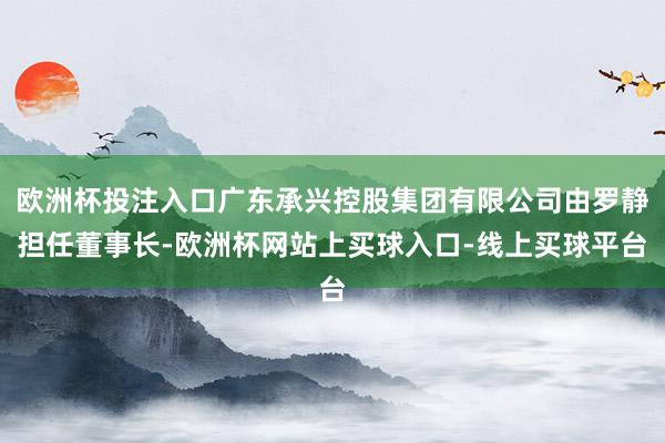 欧洲杯投注入口广东承兴控股集团有限公司由罗静担任董事长-欧洲杯网站上买球入口-线上买球平台