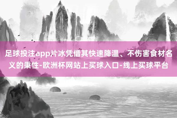 足球投注app片冰凭借其快速降温、不伤害食材名义的秉性-欧洲杯网站上买球入口-线上买球平台