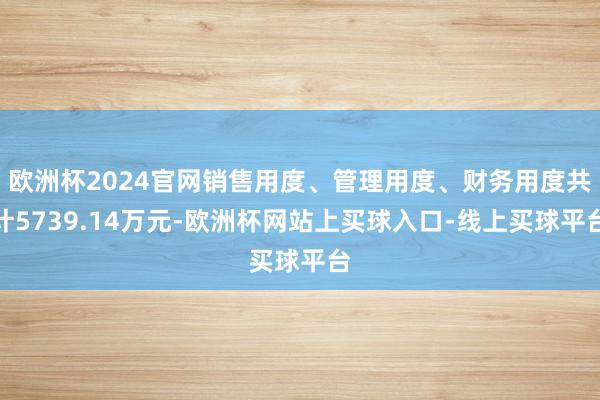 欧洲杯2024官网销售用度、管理用度、财务用度共计5739.14万元-欧洲杯网站上买球入口-线上买球平台